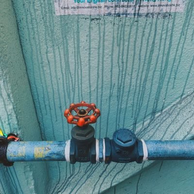 damon lam aifq9smvniu unsplash (1)
