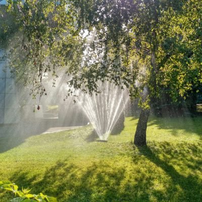nadin nandin k78zcic 5is unsplash